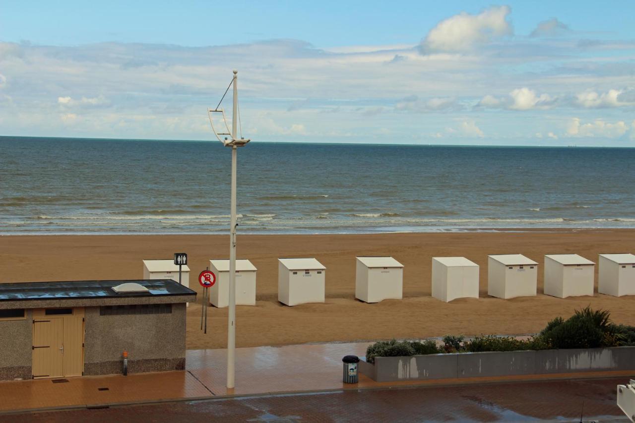 Duinroos C2 Koksijde