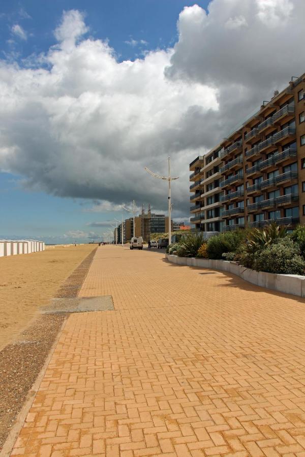 Duinroos C2 Koksijde