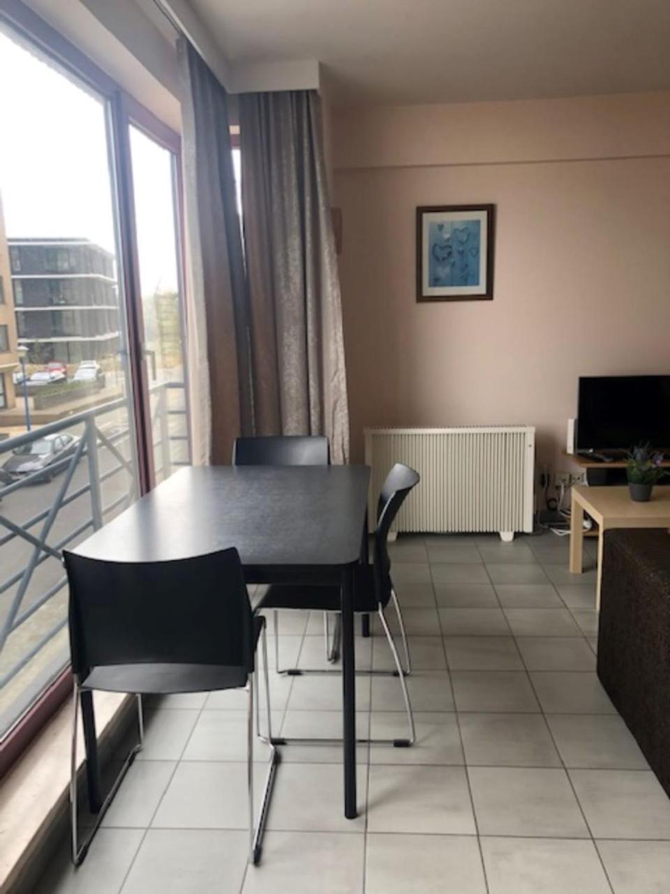 Duinroos C2 Appartement Coxyde